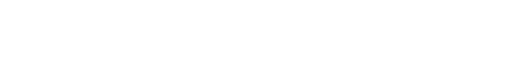 Foresight Holding Logo